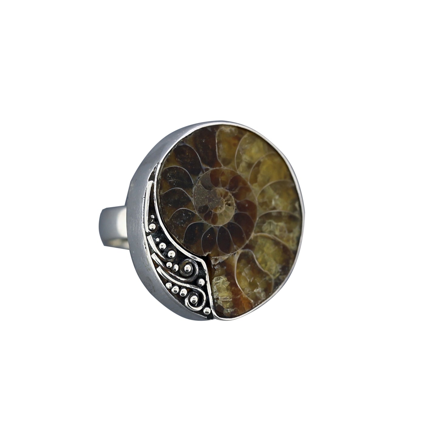 (775CAMMO) Ammonite Sterling Ring